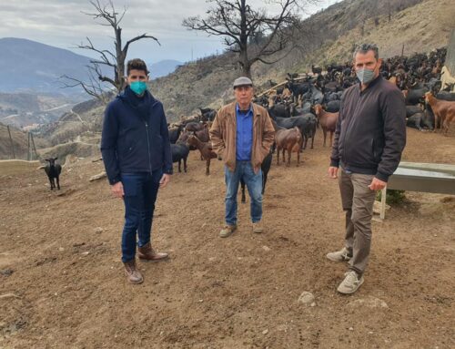 (VÍDEO) Visita de Eric Escobedo y Armando Cuesta para mostrar su apoyo a la ganadería local