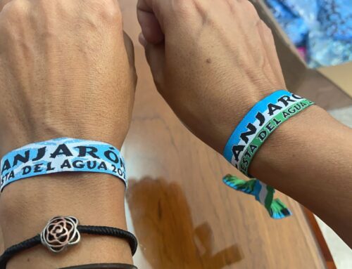 Ya están disponibles las pulseras para la Noche del Agua de 2022
