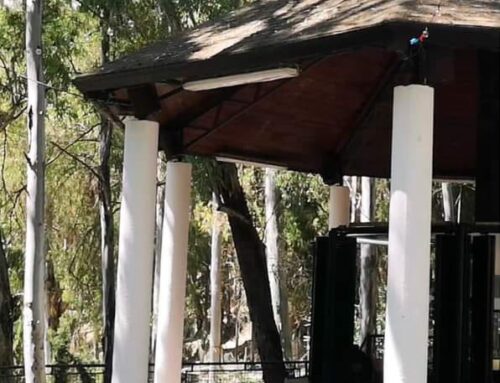 Se amplía el plazo de presentación para solicitar la explotación del quiosco – bar del Parque del Salado