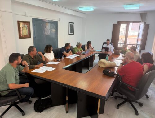 Pleno ordinario Ayuntamiento Lanjarón 31 de julio de 2025